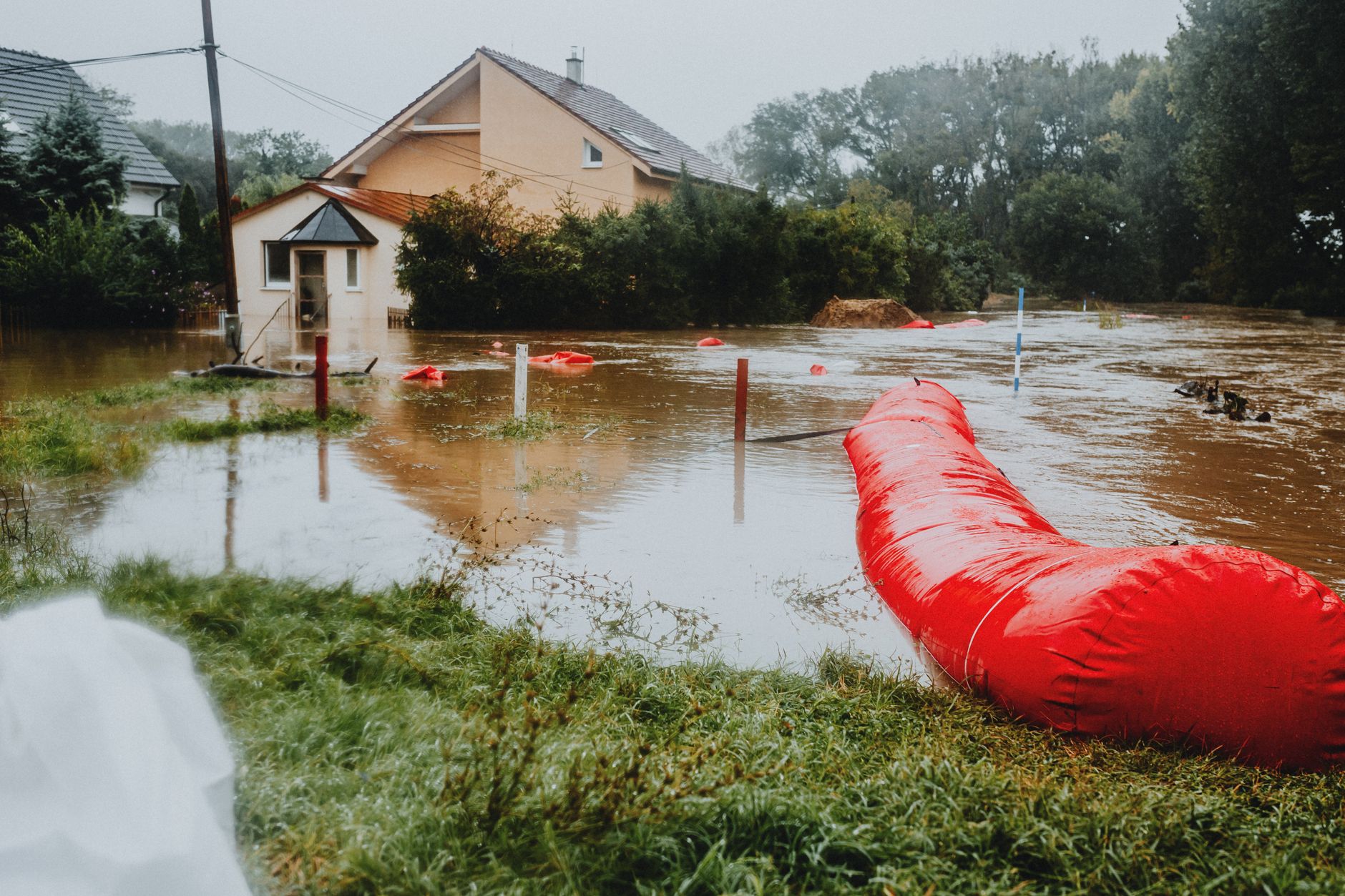 réparation dégât des eaux Lozère